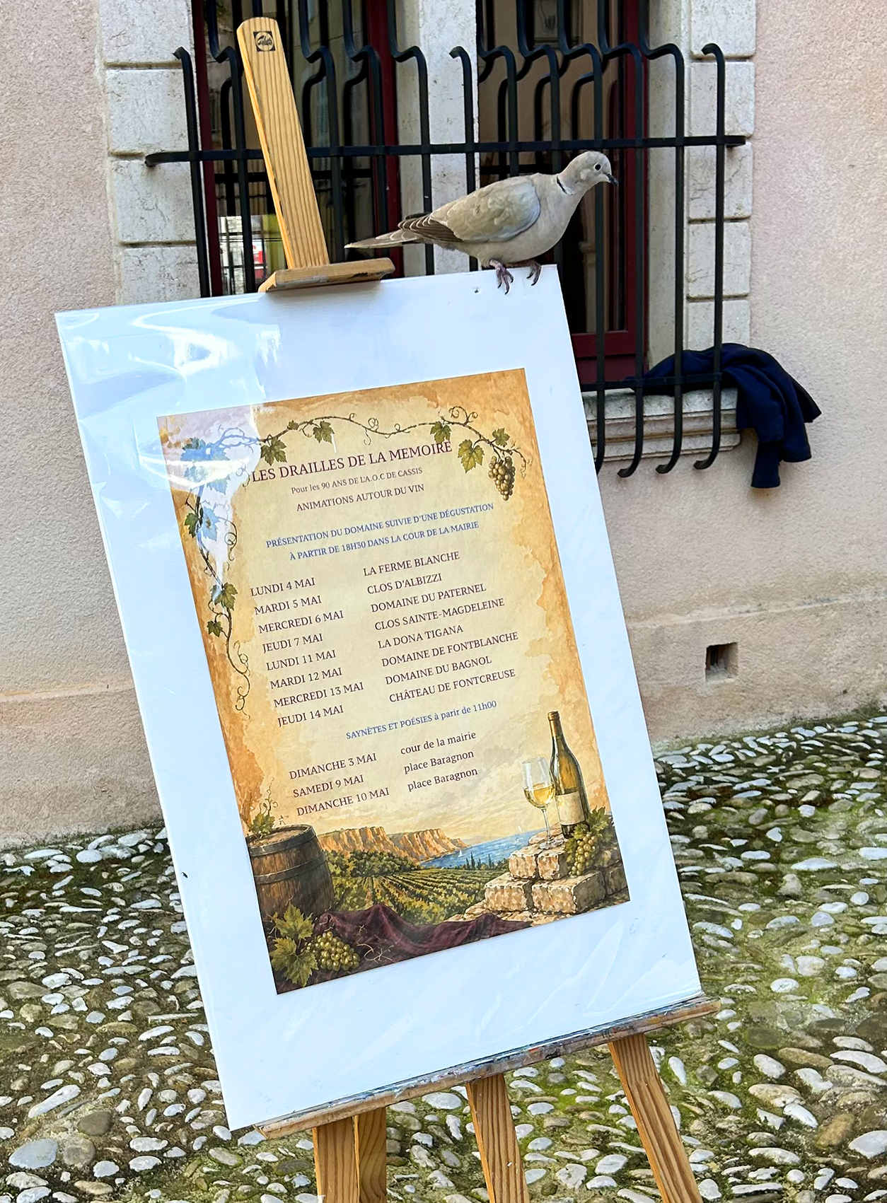 Les vins de Cassis : neuf décennies d&rsquo;une AOC taillée dans la roche et le soleil